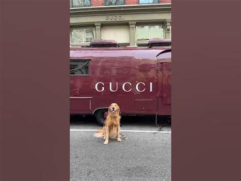 gucci airstream|Gucci Airstream nyc.